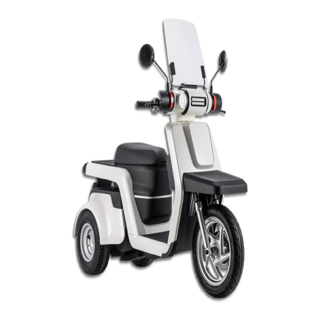 Electric Scooter EM3X